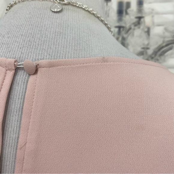 Laundry by Shelli Segal Size 6 Crepe Shift Feather Detail Solid Pink Long Sleeve - Picture 11 of 14